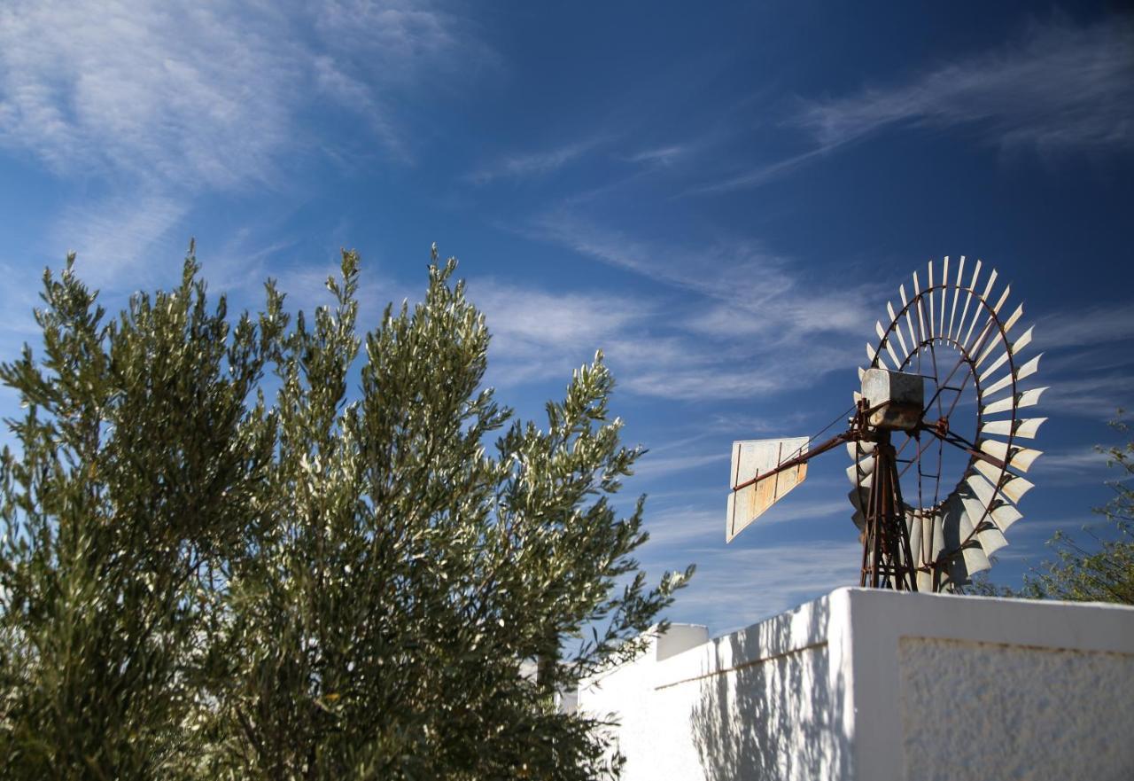 Dennehof Karoo Guesthouse Prince Albert Dış mekan fotoğraf