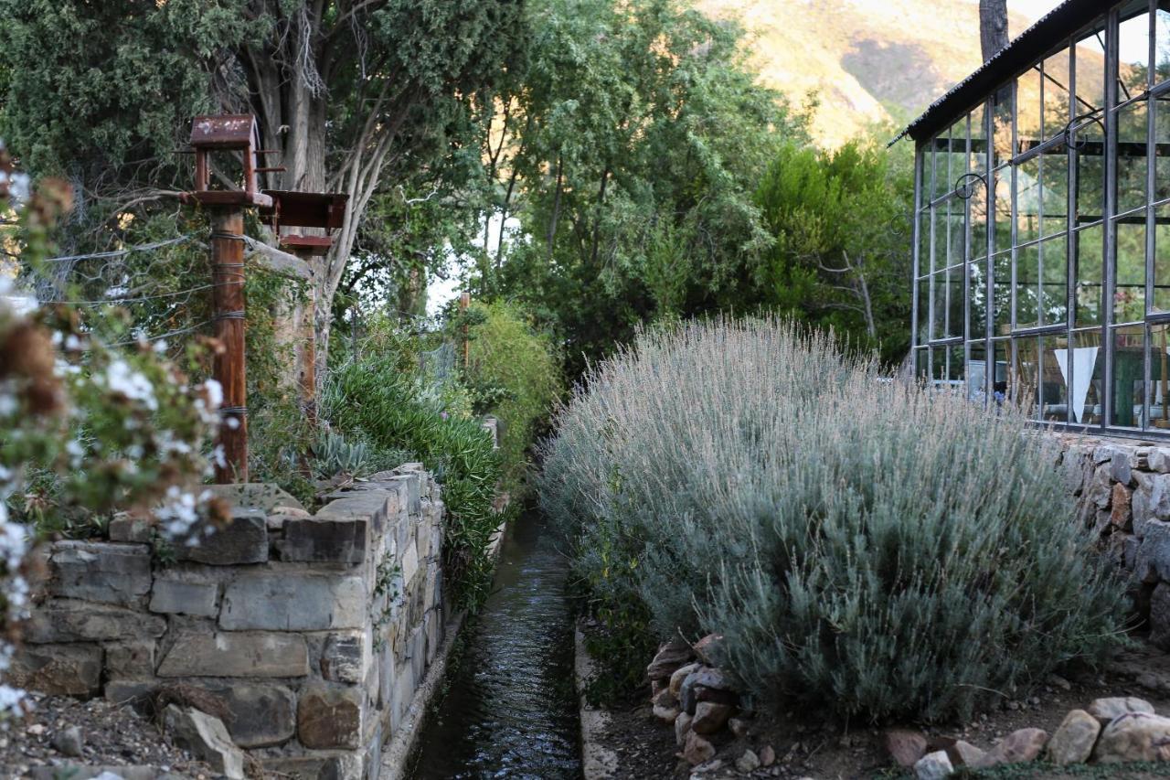 Dennehof Karoo Guesthouse Prince Albert Dış mekan fotoğraf